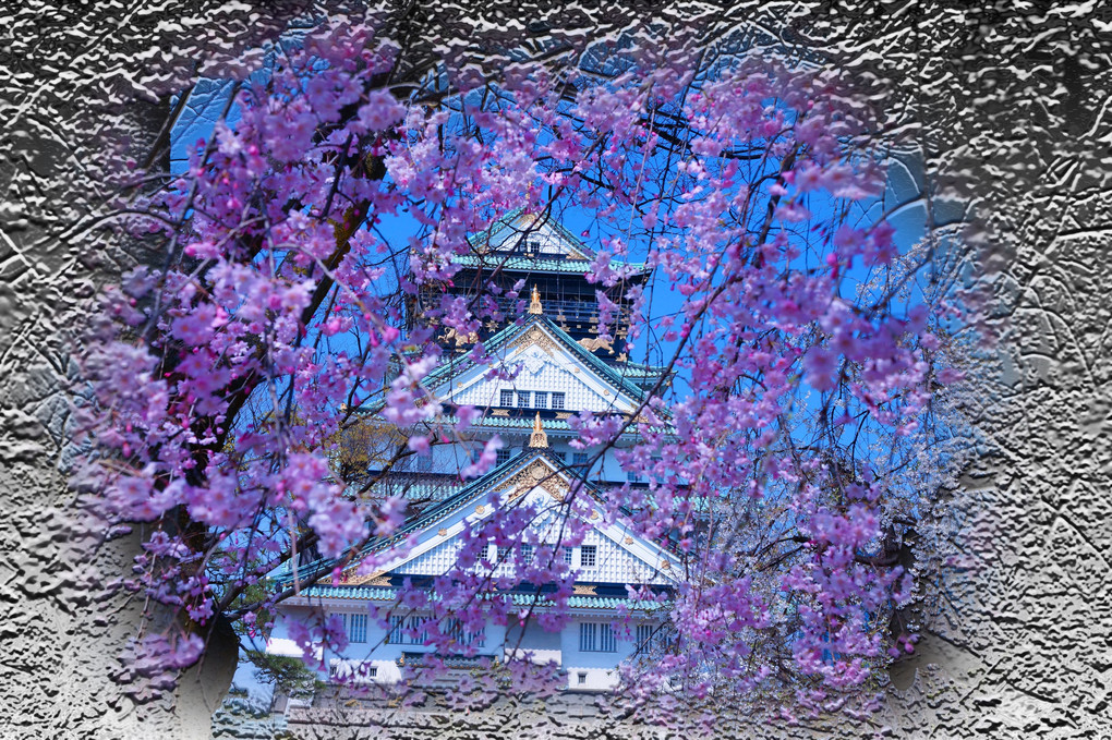 桜が引き立てる、大阪城、ちょっと覗いて見～～
