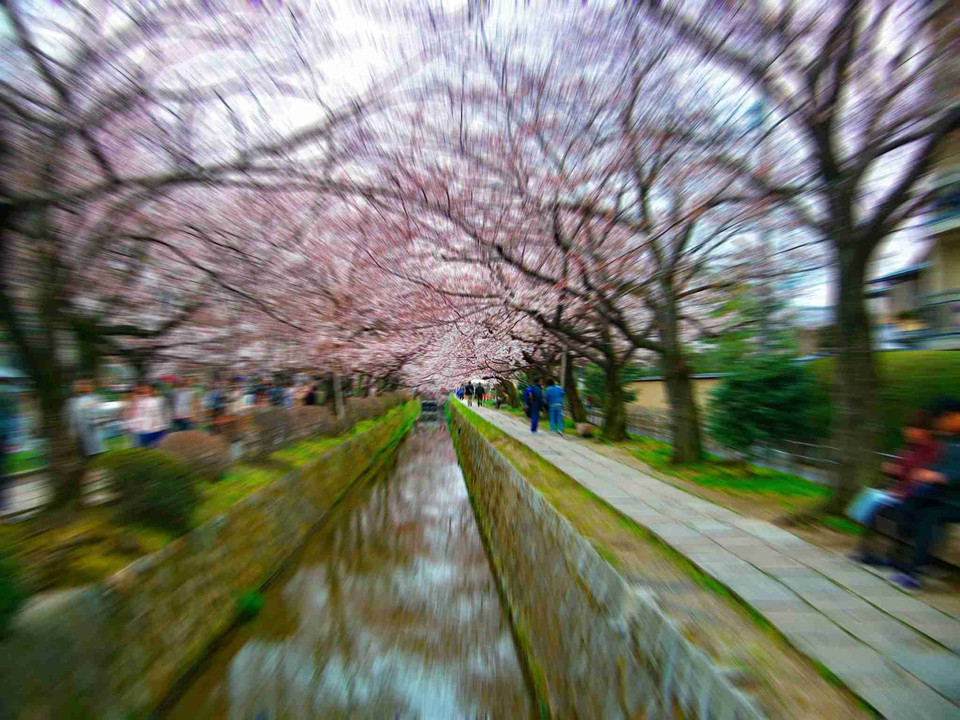 ふらり、京都散歩、もう最高やな～～
