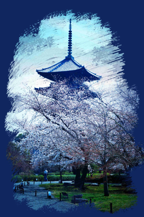 京都、東寺の枝垂れ桜、三景、