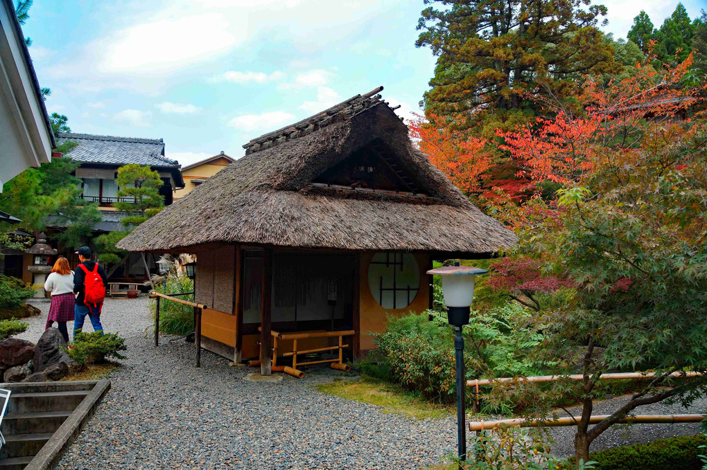 京都、ぶらり、紅葉見て歩き、
