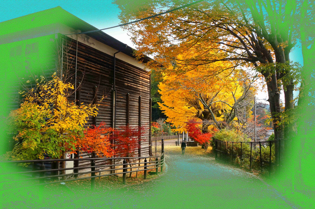 奈良県、大宇陀、カエデの郷ひらら、四景、