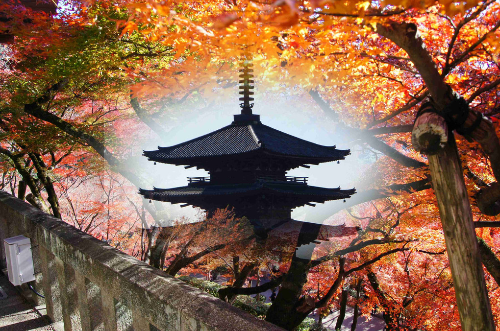 秋、京都、八坂の塔三景、