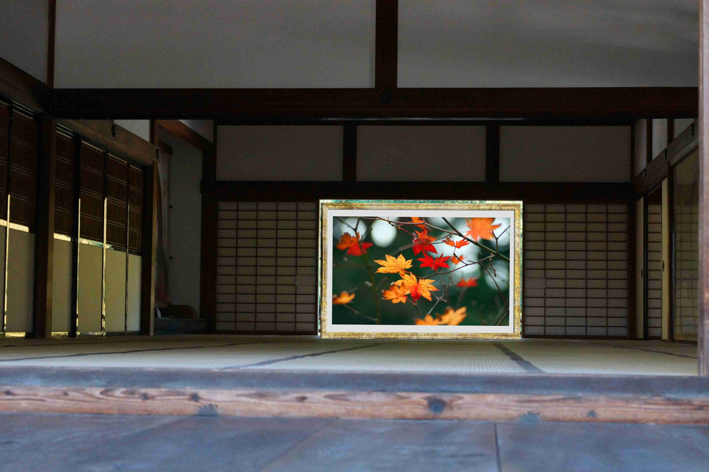 ぶらり京都へ、癒しの旅、三景、