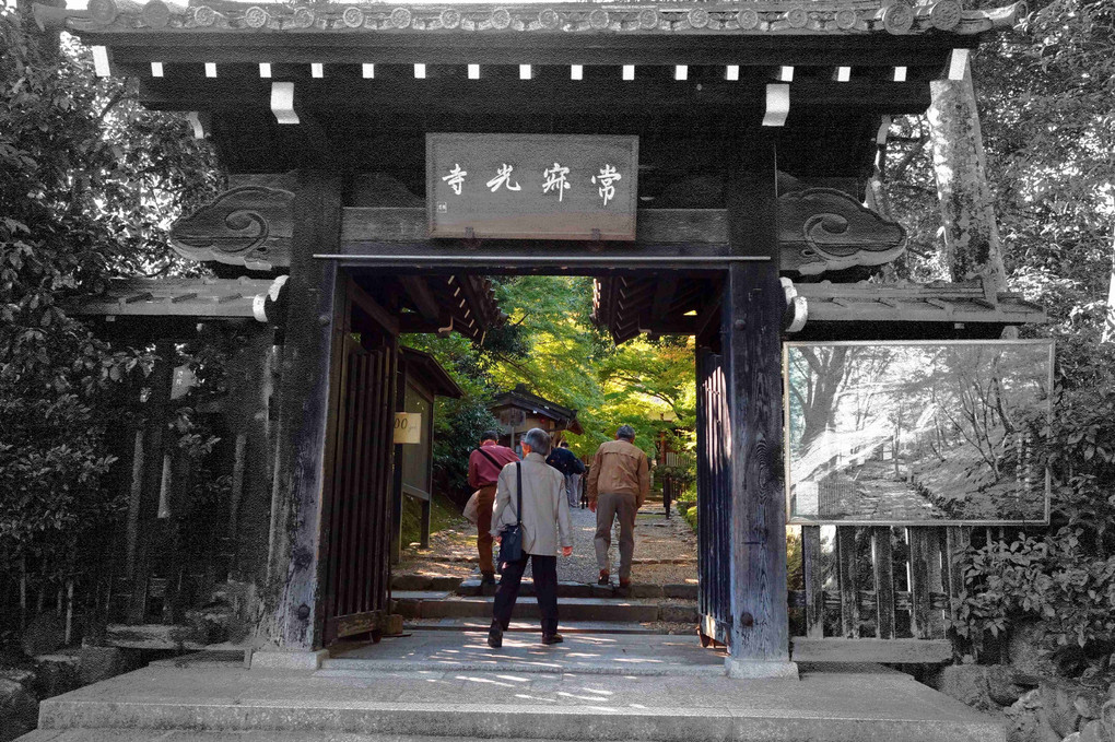 ぶらり京都へ、癒しの旅、三景、