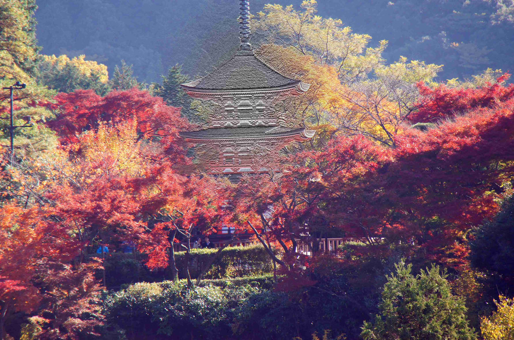 ぶらり京都散策、三景、