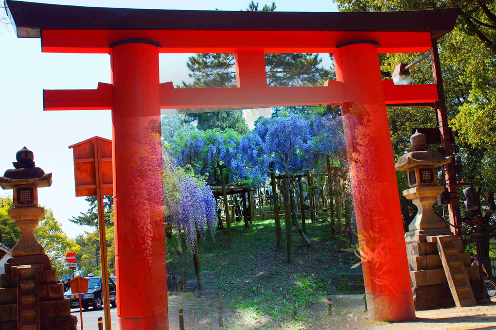 ぶらり奈良公園、万葉植物園、三景、