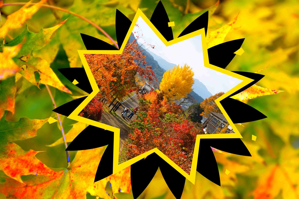 奈良の秋、撮り歩き三景、大宇陀．