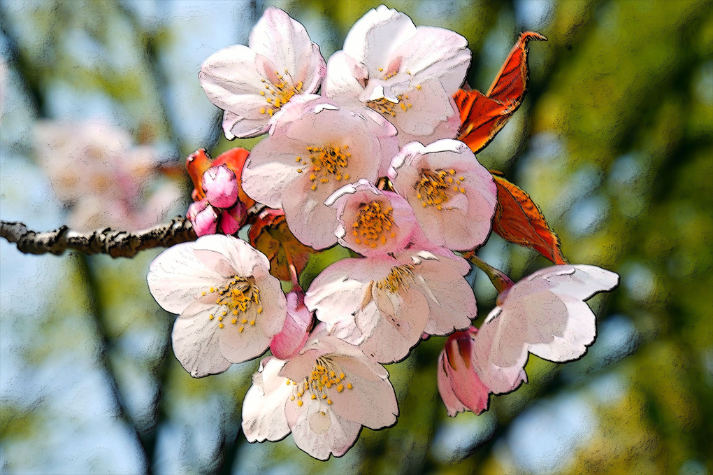 桜一枝、此れも又、美しい、