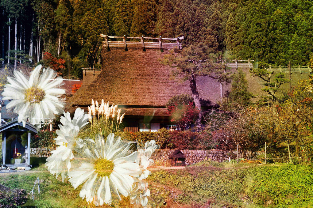 京都、南丹、美山の里、秋色、