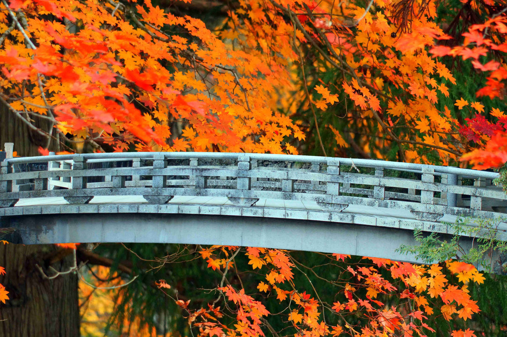 紅葉に飾られる、小さな子橋、