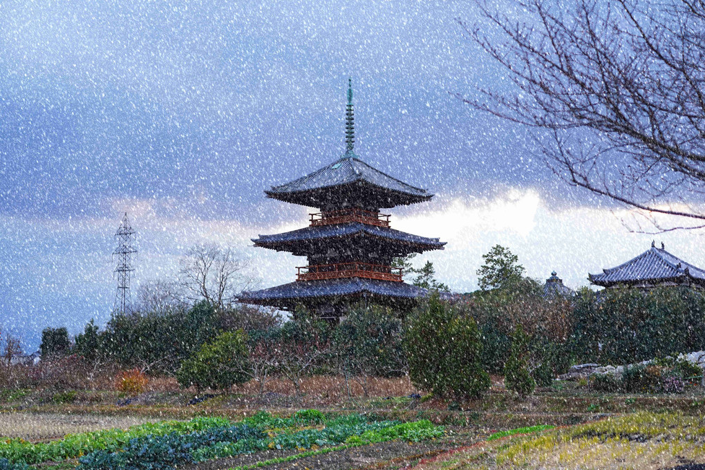 奈良、法起寺の冬景色、