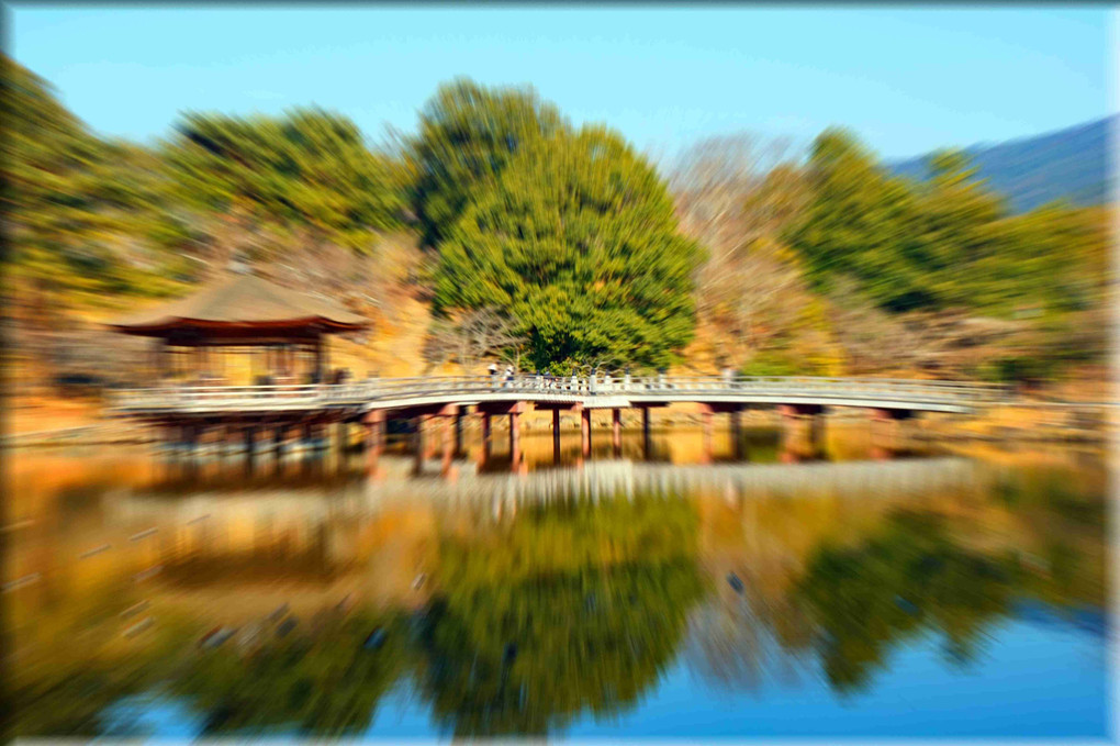 奈良公園、ちょいブラ、たのしいよ～～