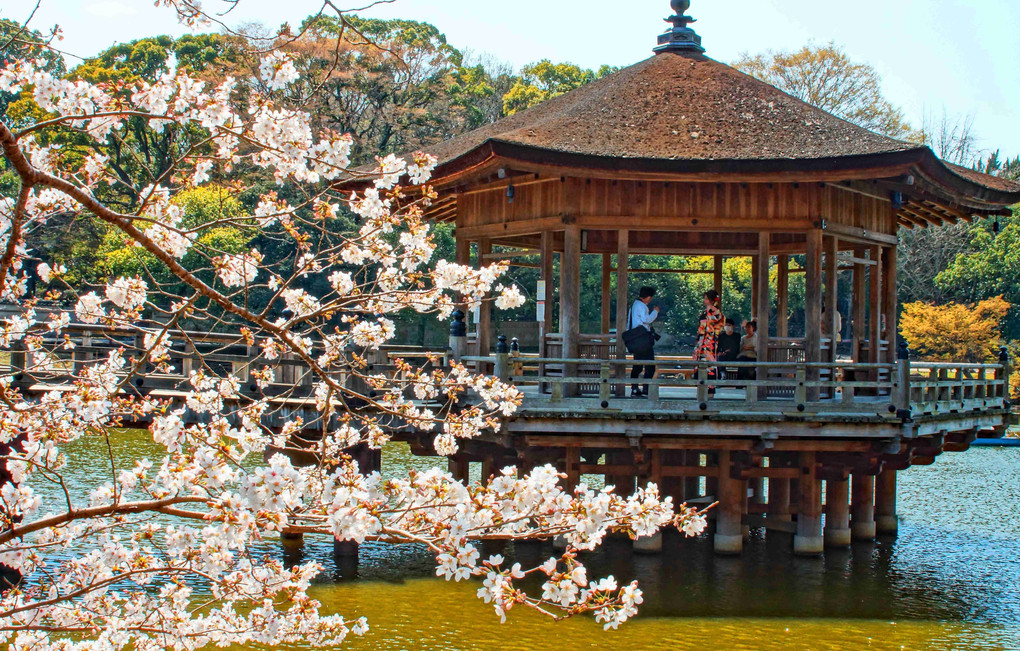 奈良公園、ぶらり四景、ええな～～