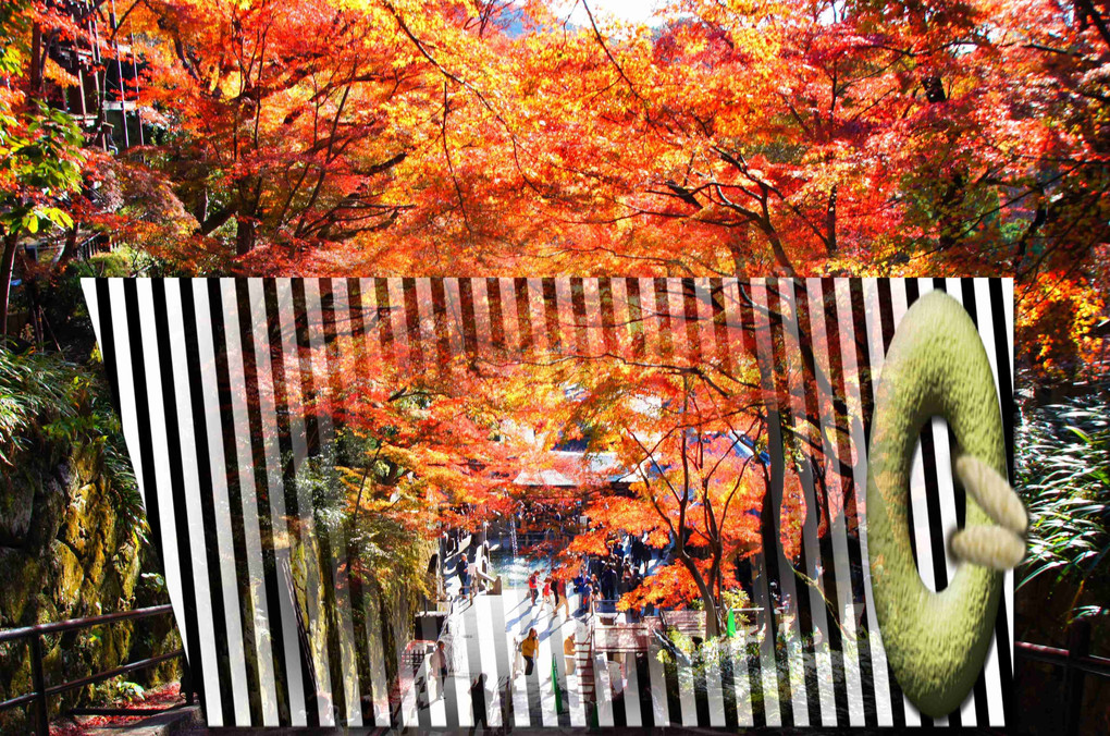 京都、西山ぶらり紅葉、撮り歩き、