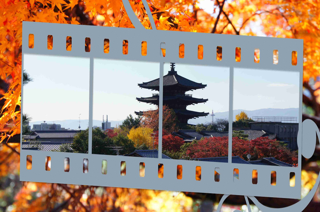 京都、西山ぶらり紅葉、撮り歩き、