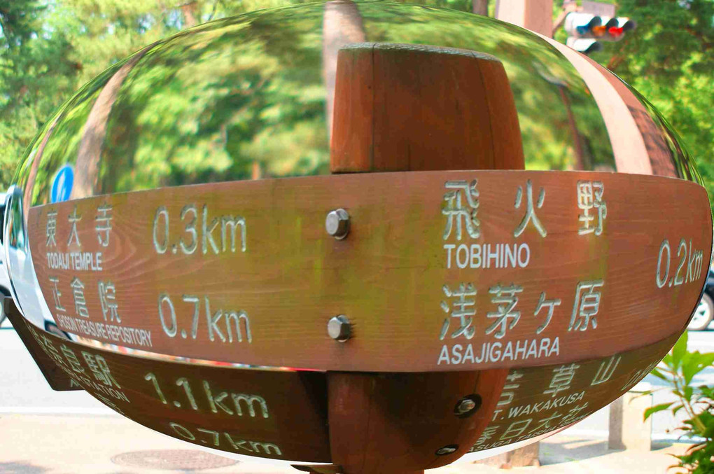 奈良公園,撮り歩き、三景、