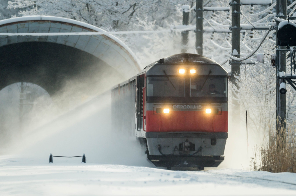 白い大地と雪煙