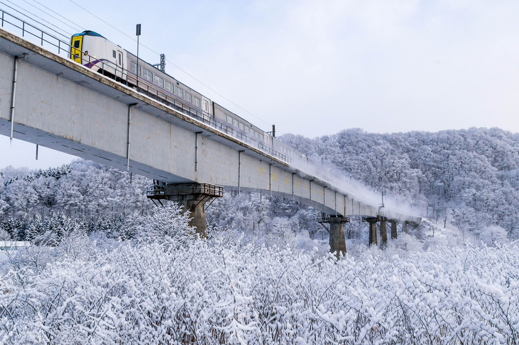 白い大地と雪煙