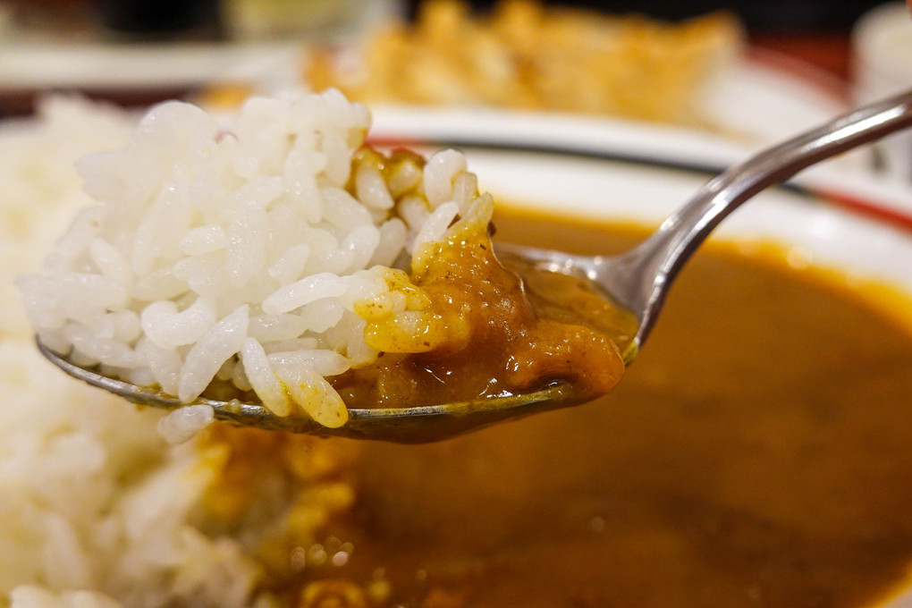 北海道を食べる（B級・カレー中心）