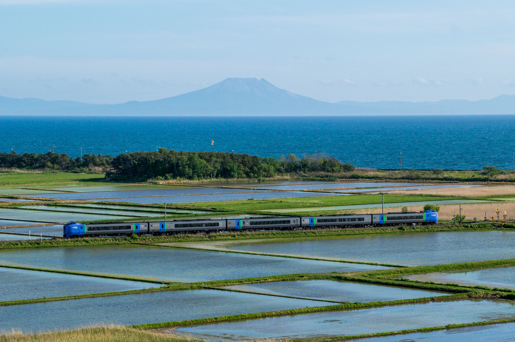 田植えの季節