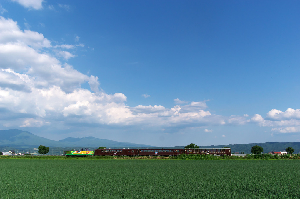 富良野・初夏