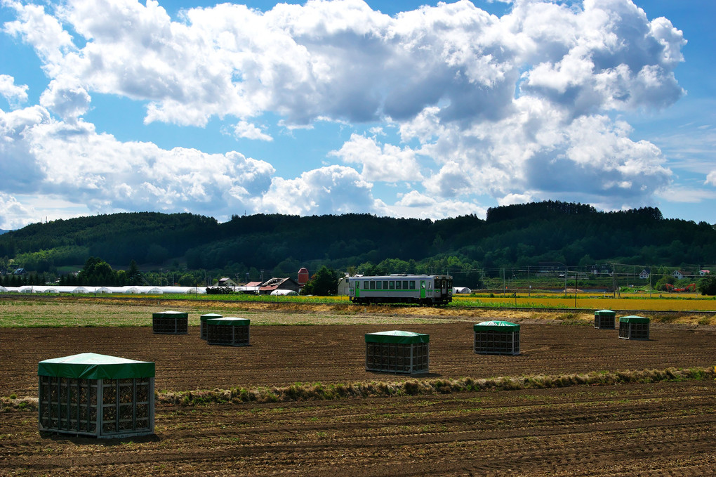 富良野・晩夏　その２