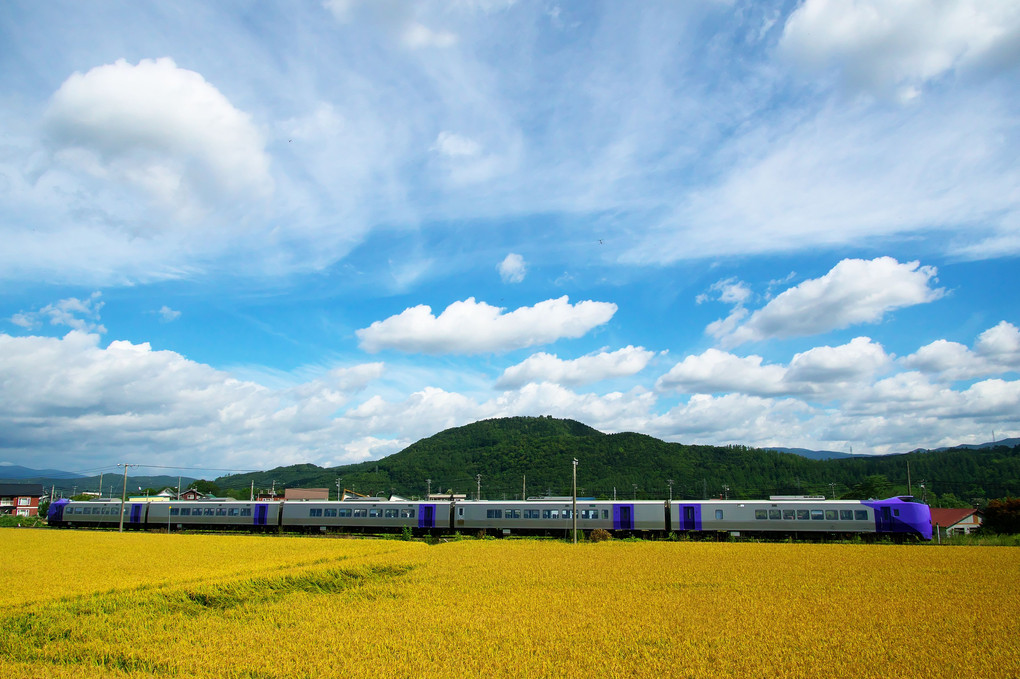 富良野・晩夏　その２