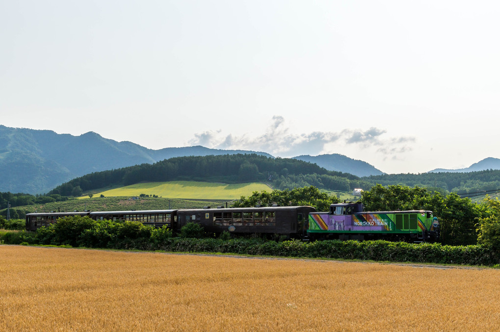 富良野・美瑛にて