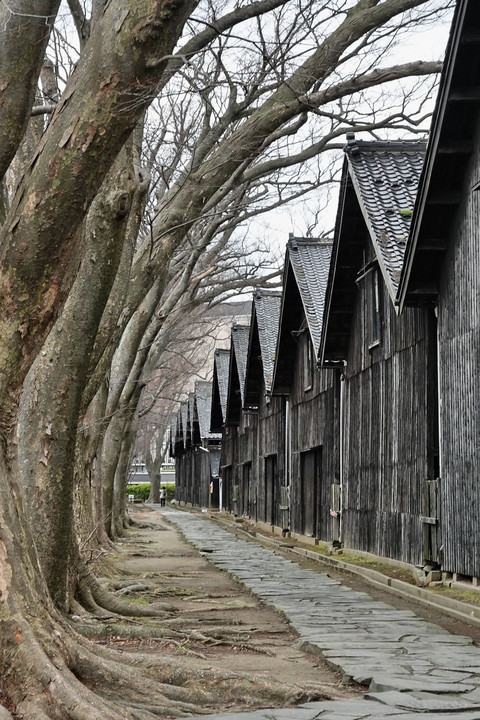 初春の山居倉庫