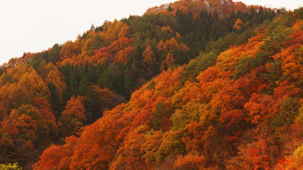 福島県の秋　