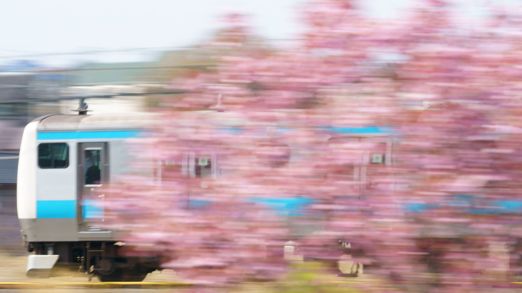 車窓越し　過ぎゆく春は　桜色