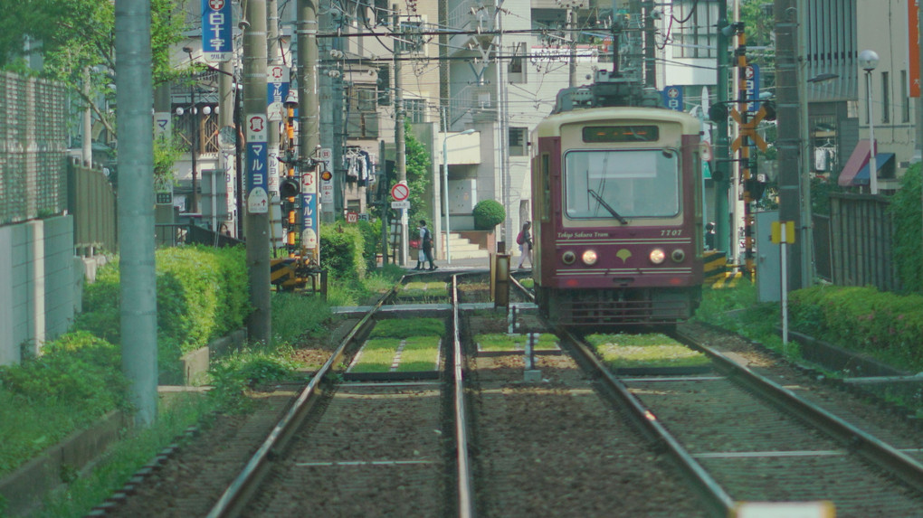 ゆる鉄で　時間もゆるゆる　小旅行　　#都電荒川線#