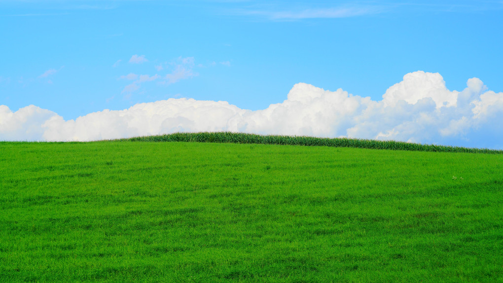 高原に　夏風わたる　緑のじゅうたん（北海道上士幌町ナイタイ高原牧場）