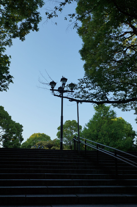 階段を登った先に　上野公園