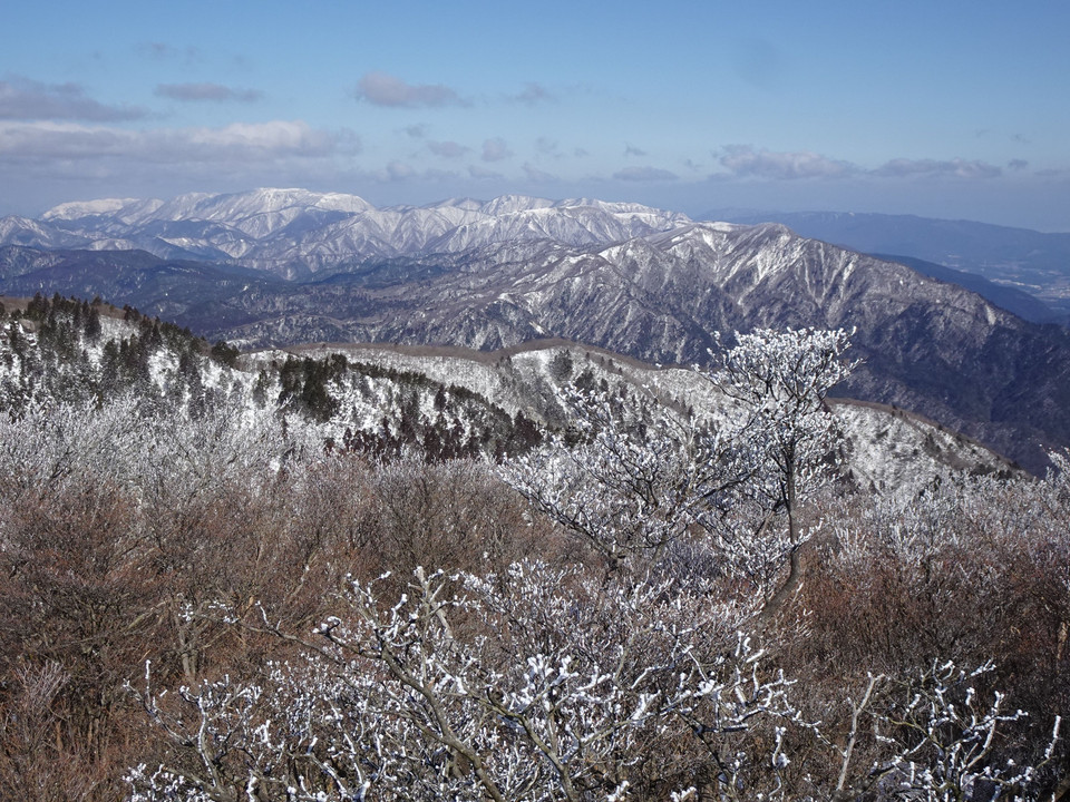 樹氷って素晴らしい