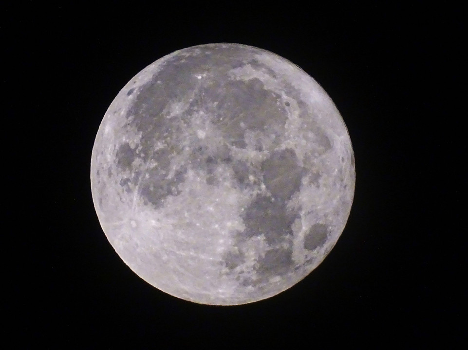 ス－パ－ム－ン　(本年最大の満月) を撮れました