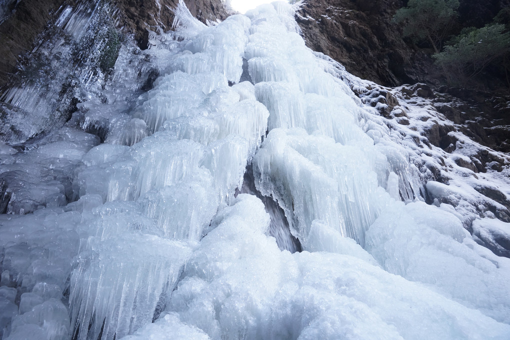 醤油樽の滝氷瀑