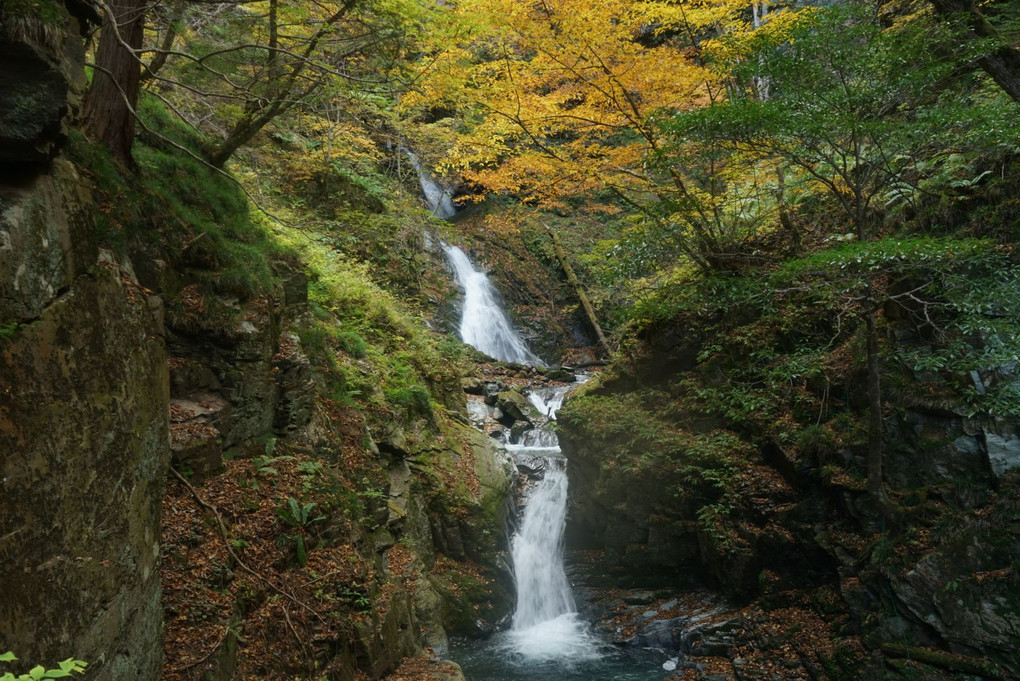 秋の三級の滝