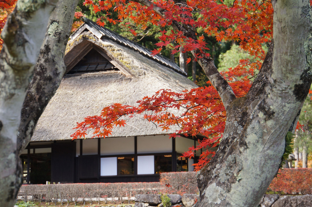 古峰神社の輝き