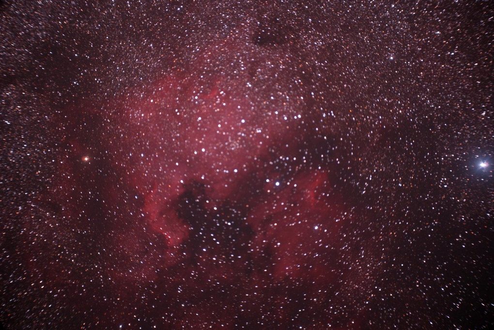 白鳥座デネブ周辺の散光星雲
