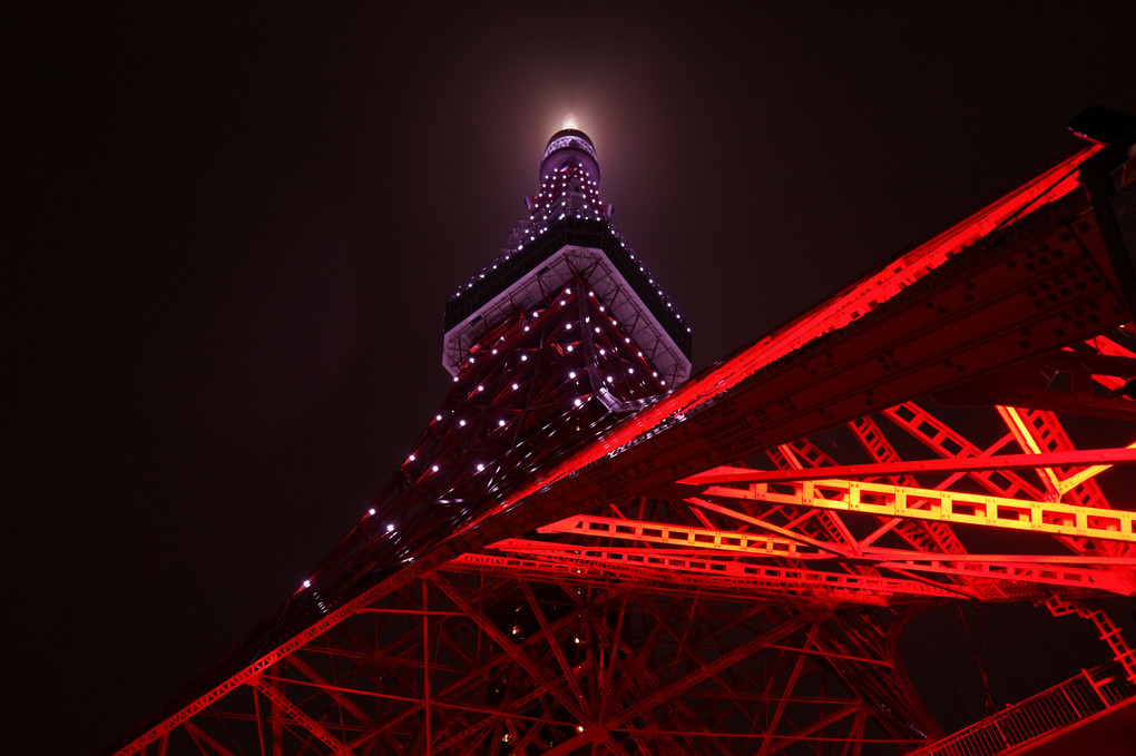 世界メンタルヘルスデー2020東京タワーシルバーライトアップ