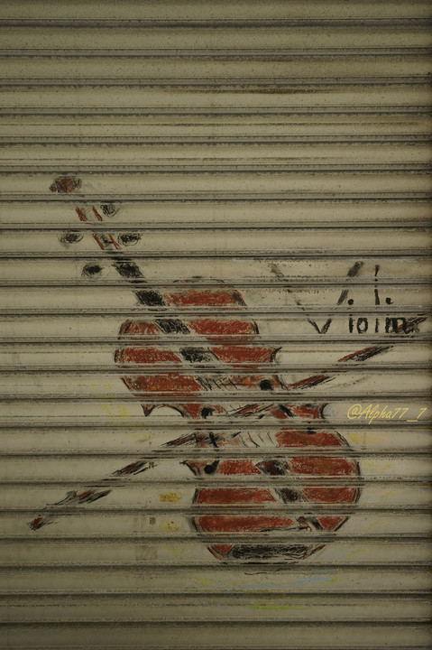 ｼｬｯﾀｰ街のバイオリン…