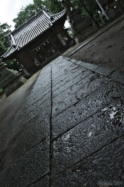 雨の参道…