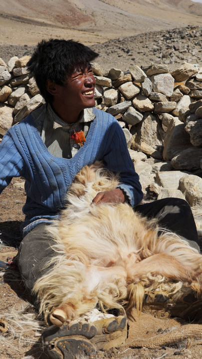 チベットの遊牧民