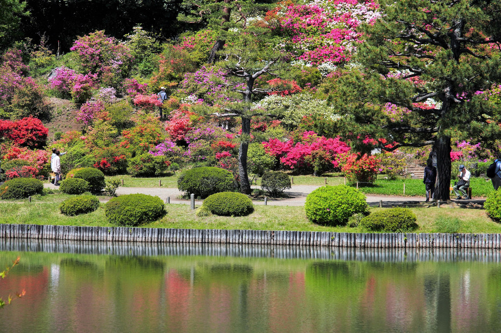 花の東京