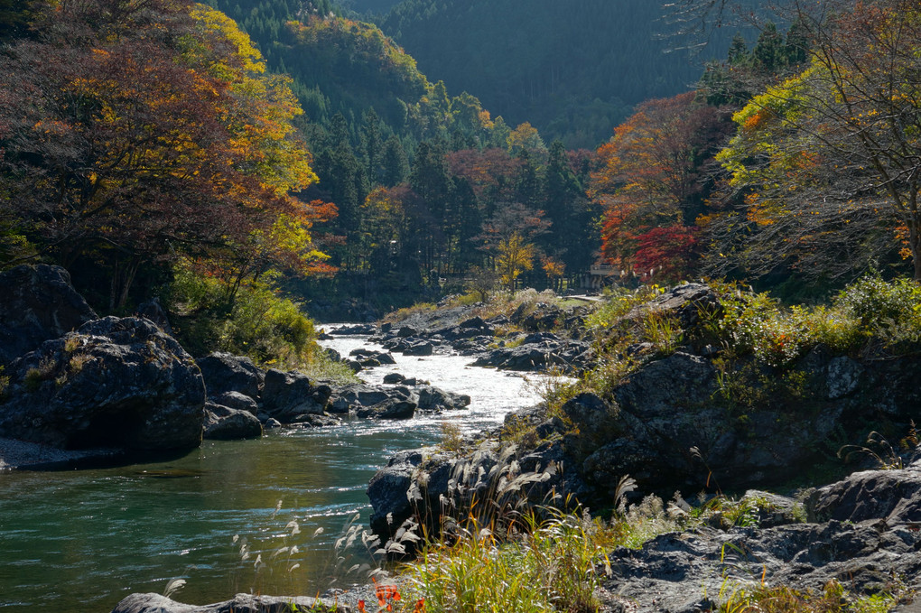 渓流の秋を歩く