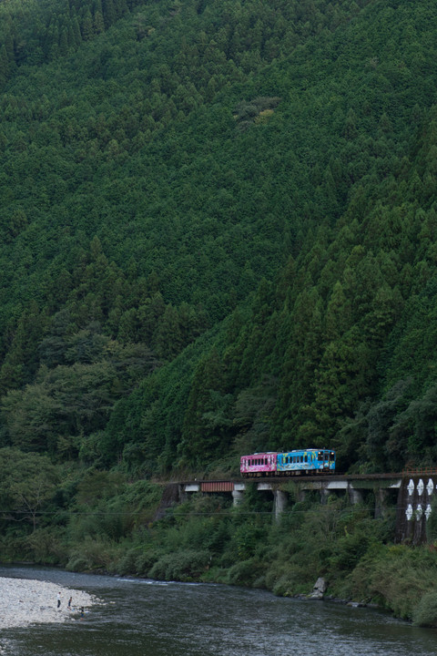 清流沿いを行く