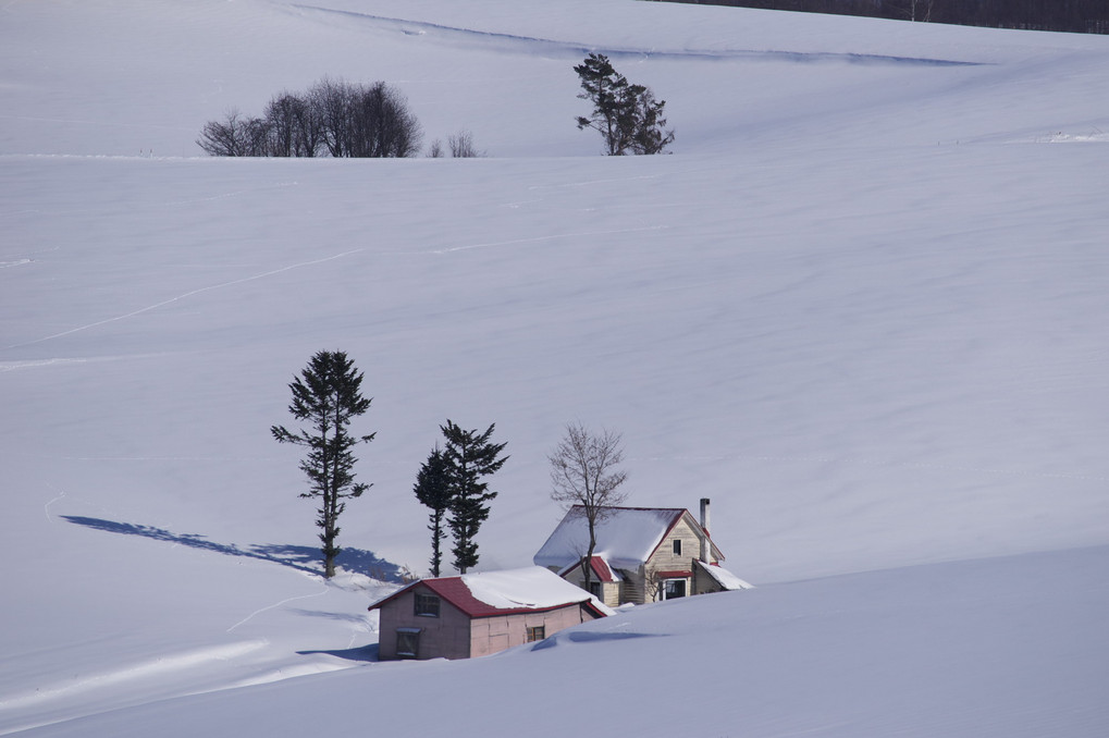 雪の中の赤い屋根の家