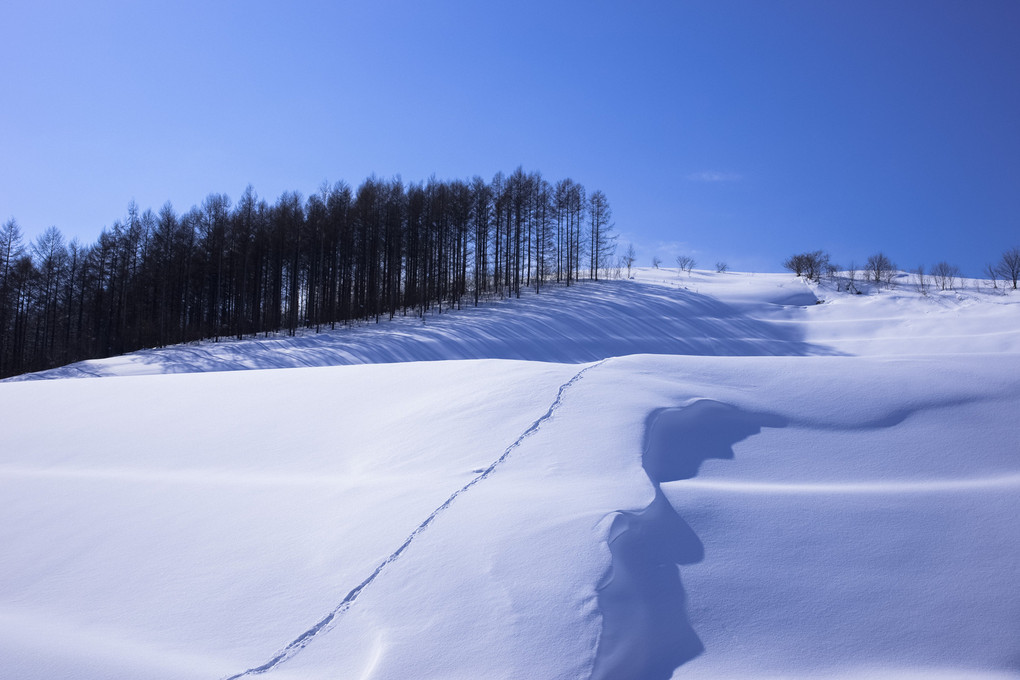 雪晴れの日