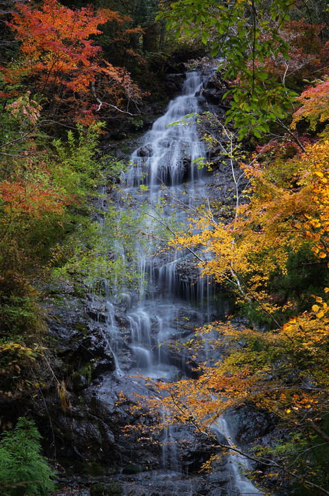 秋色の渓谷